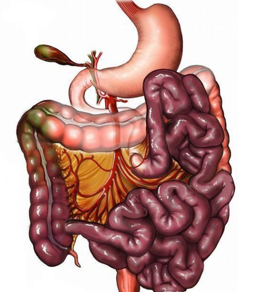 腸息肉者，排便出現(xiàn)3個異常，十有八九息肉已變成“癌”